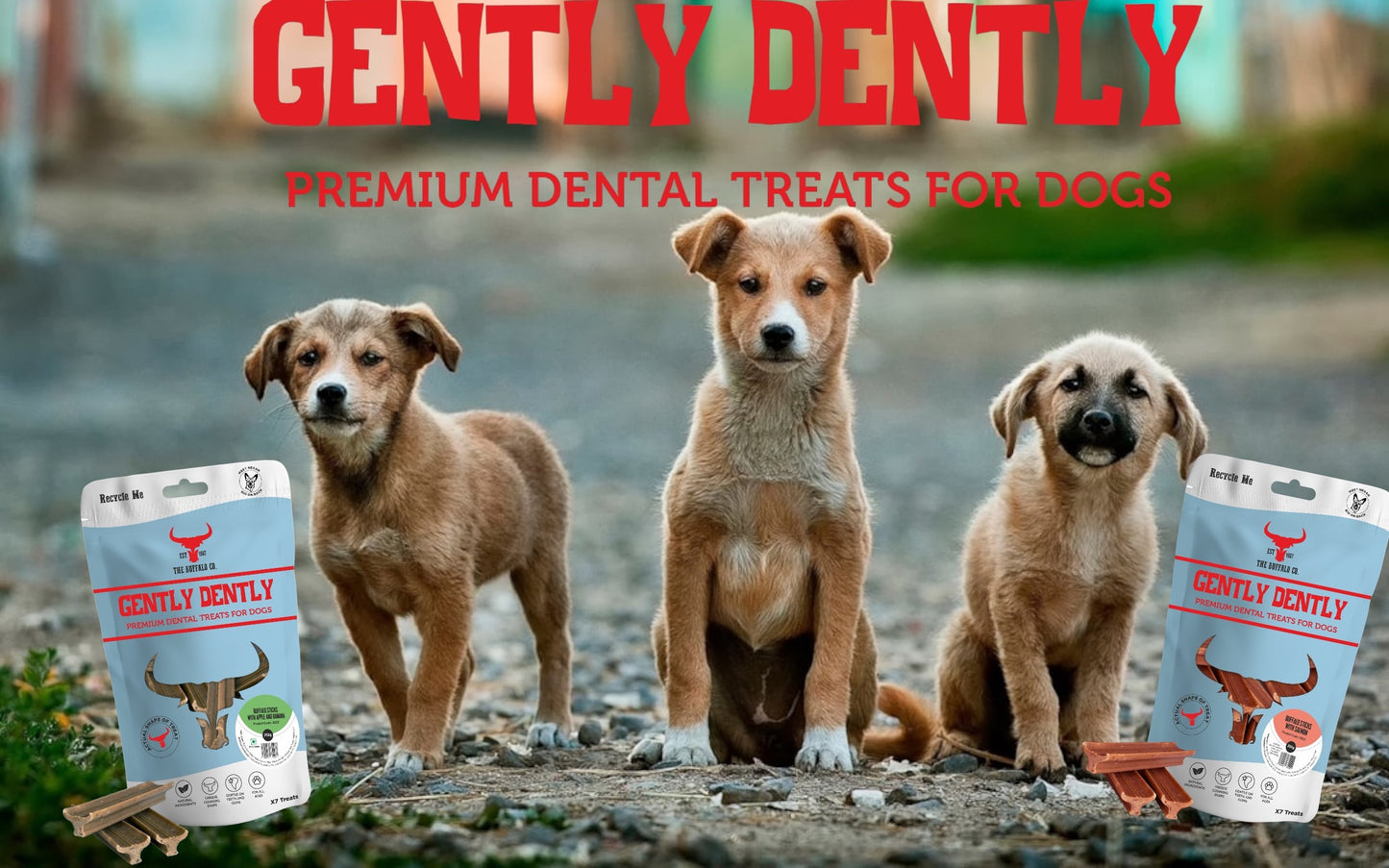 Gently Dently- Salmon Dental Treats for Dogs 175g