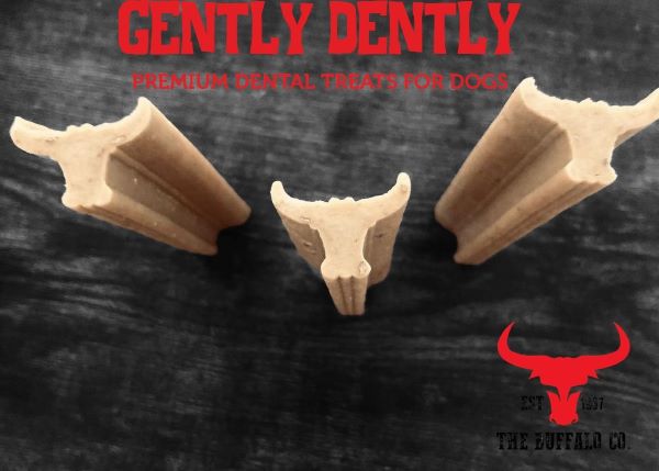 Gently Dently- Salmon Dental Treats for Dogs 175g