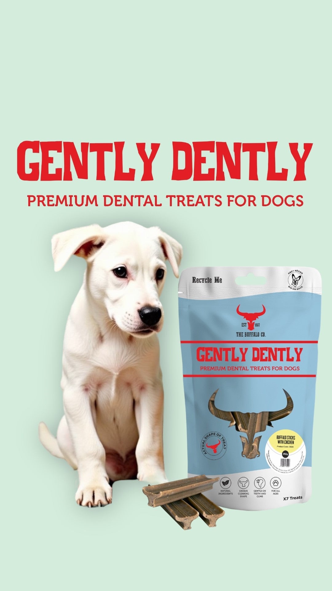 Gently Dently- Salmon Dental Treats for Dogs 175g