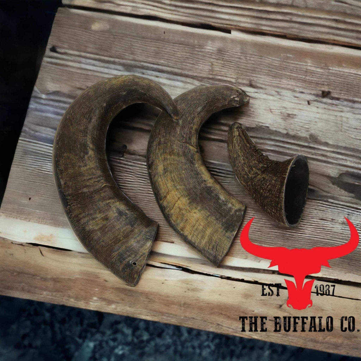 Buffalo Horn-Large dog chew, three curved natural buffalo horns in mottled dark brown with textured surfaces and hollow ends