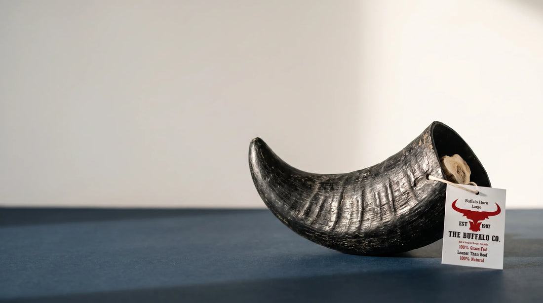 A single dense buffalo horn chew presented as a premium single-ingredient product, conveying that buffalo chews are natural, honest objects distinct from rawhide.