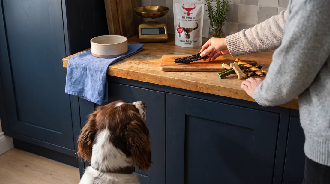 A spaniel seen from behind waits by navy kitchen cabinets while its owner sets a single dried buffalo tripe treat on a board, a pile of mixed treats pushed aside and a Buffalo Co tripe pouch in the background.