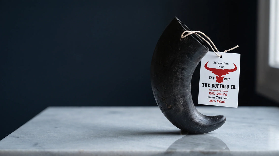 Editorial hero portrait of a whole buffalo horn, the flagship single-ingredient digestible dog chew, presented as the safe choice the article recommends.