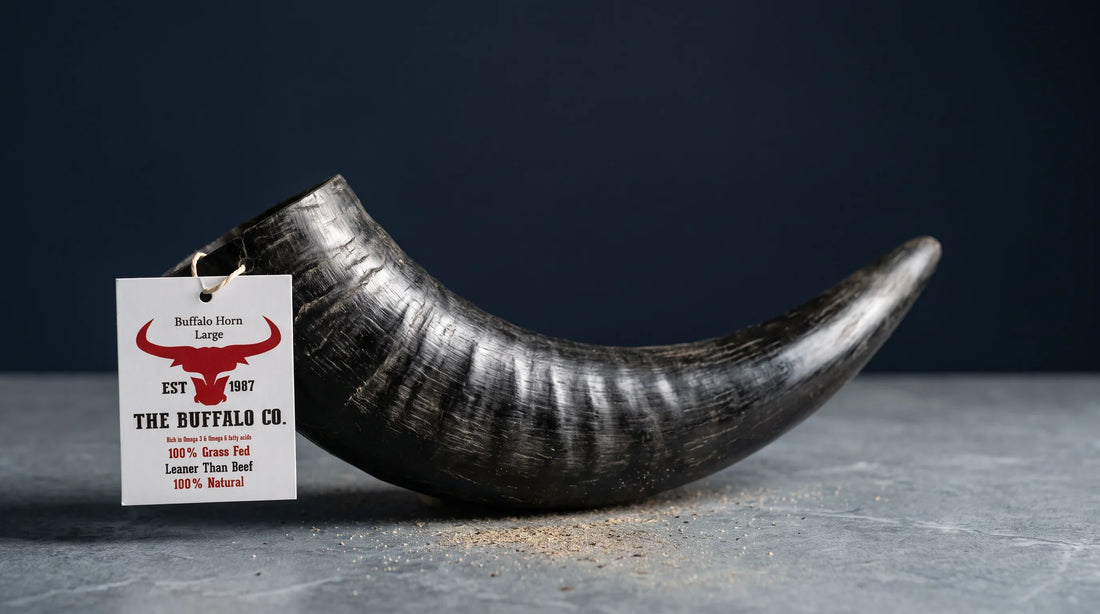 A large single-ingredient buffalo horn chew presented as the durable, long-lasting option built for heavy chewers.