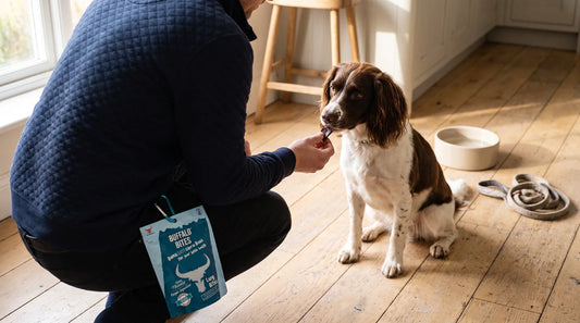 A handler in a deep navy jumper crouches in a sunlit kitchen, lowering a small air-dried treat to an attentive dog while a resealable Buffalo Bites lung-bite pouch hangs clipped at the hip.
