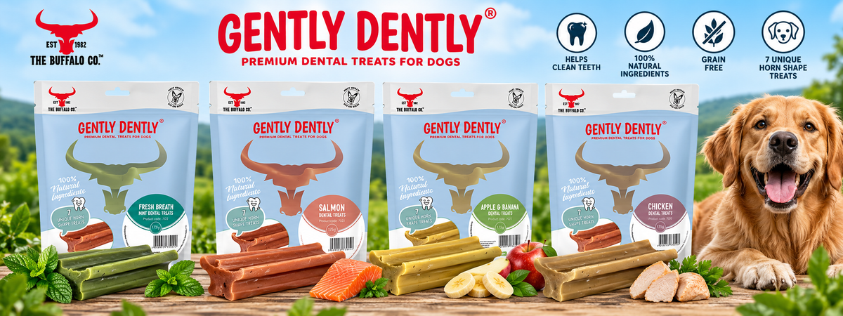Gently Dently: Dental Dog Treats