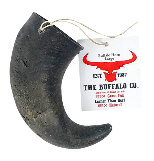 Buffalo Horn-Large (6-8 inch)-Dog Treats