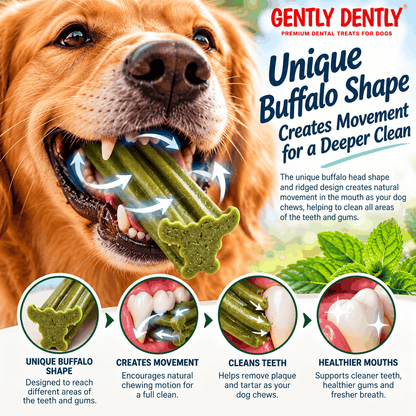Gently Dently buffalo-shaped green dental stick for dogs in a dog’s mouth