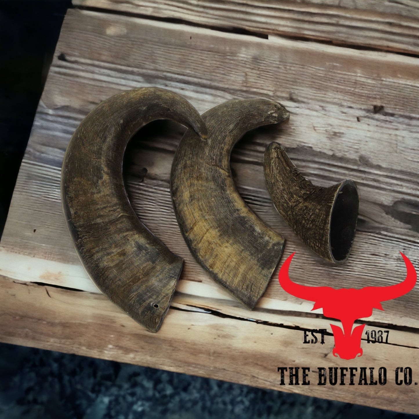 Buffalo Horn-Small (4-5 Inch)-Dog Treats