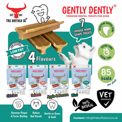 Gently Dently- Fresh Breath Mint Dental Treats for Dogs 175g