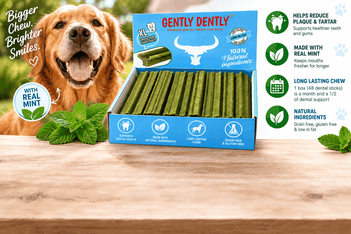 Gently Dently dental sticks for dogs with dog and mint leaves, in box