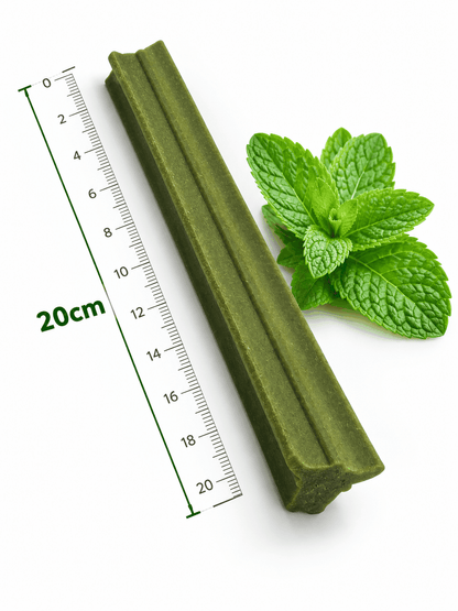 Gently Dently XL dental stick, long olive-green ridged chew with a firm, grooved texture and mint leaves beside it.