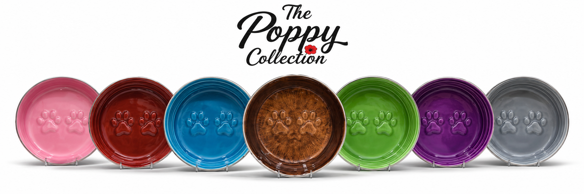 The Poppy Collection Stand Deal- With Free stand