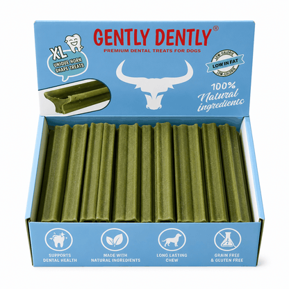Gently Dently XL dental sticks for dogs, green sticks in open box