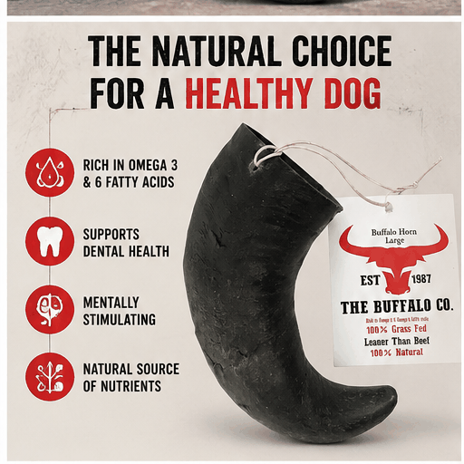 Buffalo Horn-Large dog chew made from dark, rough-textured natural horn, with a curved shape and attached product tag