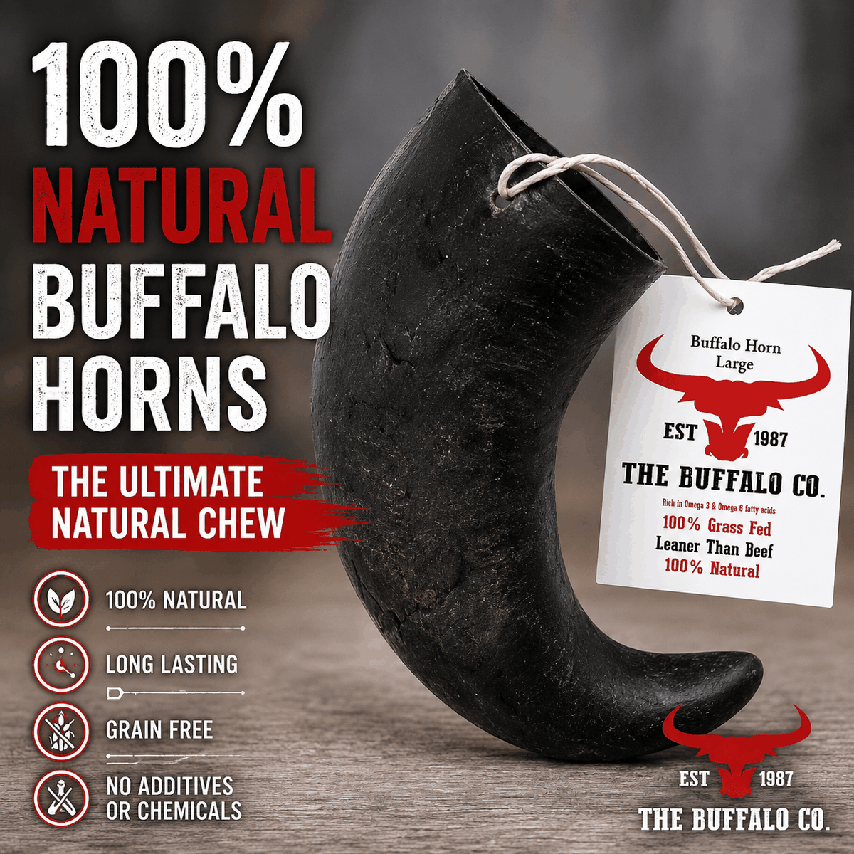Buffalo Horn-Large natural dog chew made from a curved black buffalo horn with a smooth, tapered tip and product tag