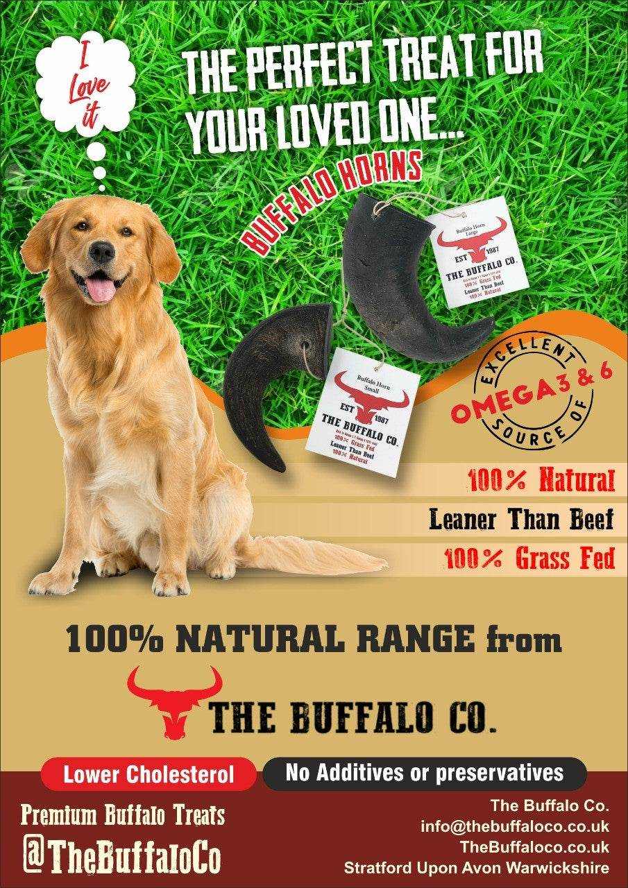 Buffalo Horn-Large natural dog treat with a dark curved horn, shown beside a golden retriever on a promotional label