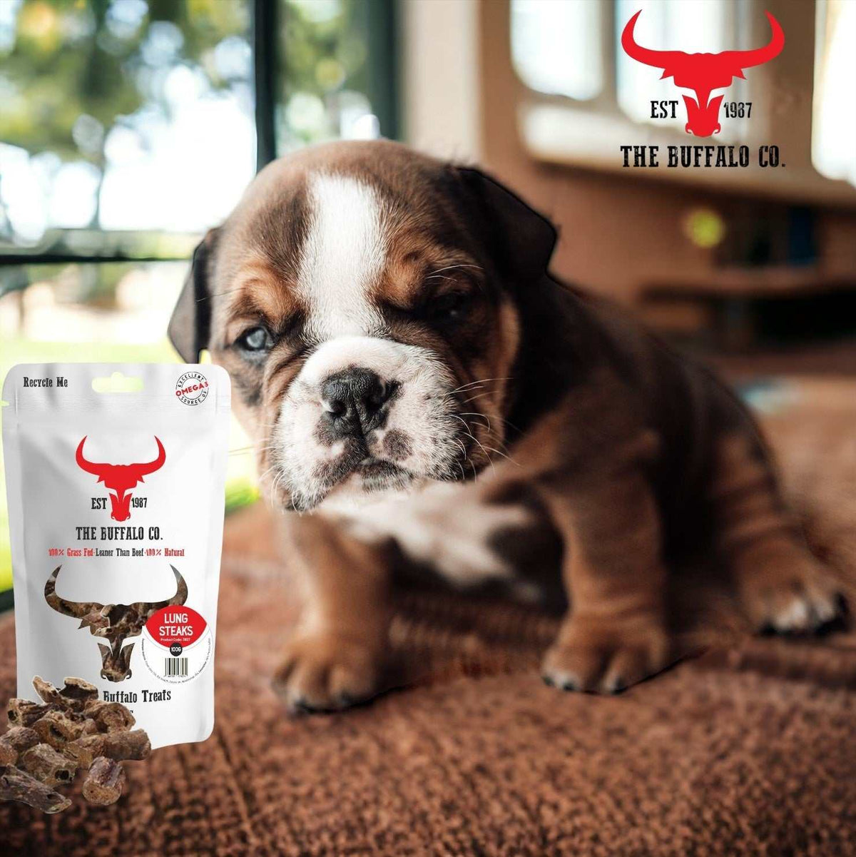 Buffalo Lung Steaks dog treats in a white resealable pouch beside a brown and white puppy, with pieces visible