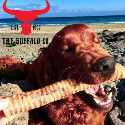 Buffalo Trachea Rounds dog treat, a long tan ridged chew held between the teeth of a red-brown dog