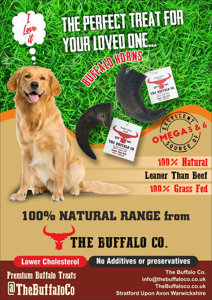 Buffalo Trade Stand Deal- with product featuring a buffalo horn chew, product labels and a golden retriever on a grass design