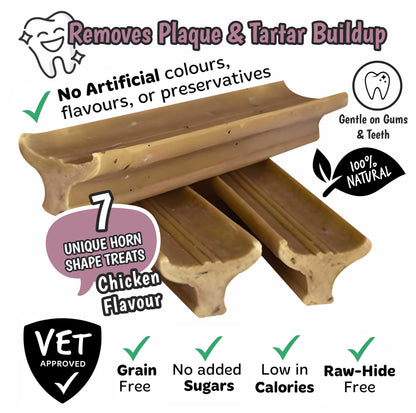 Gently Dently- Chicken Dental Treats with tan chicken-flavoured chews in a ridged horn shape, shown as grain-free and rawhide-free