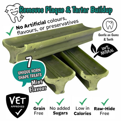 Gently Dently- Fresh Breath Mint dog dental treats in green horn shapes, with a ridged design and mint flavour