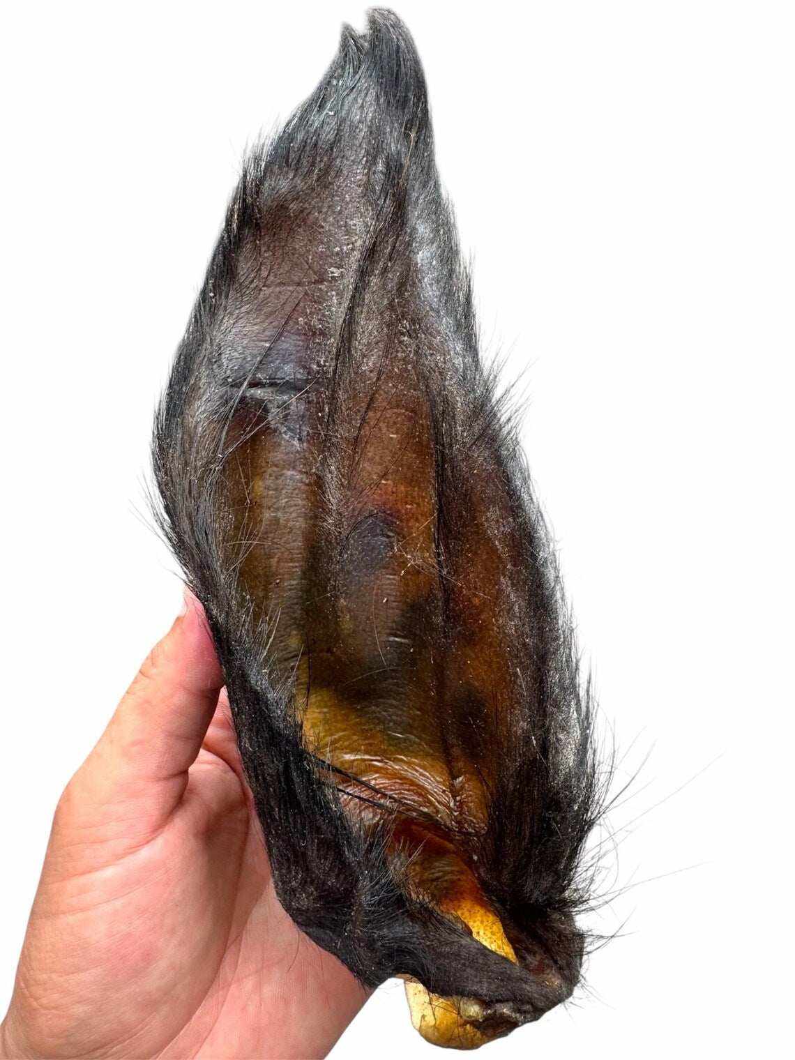 Hairy Buffalo Ears with Meat, a dark brown natural animal chew with long black hair and visible golden meat.