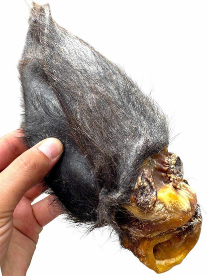 Hairy Buffalo Ears with Meat, a natural dog chew with long dark gray fur and a golden-brown meaty end