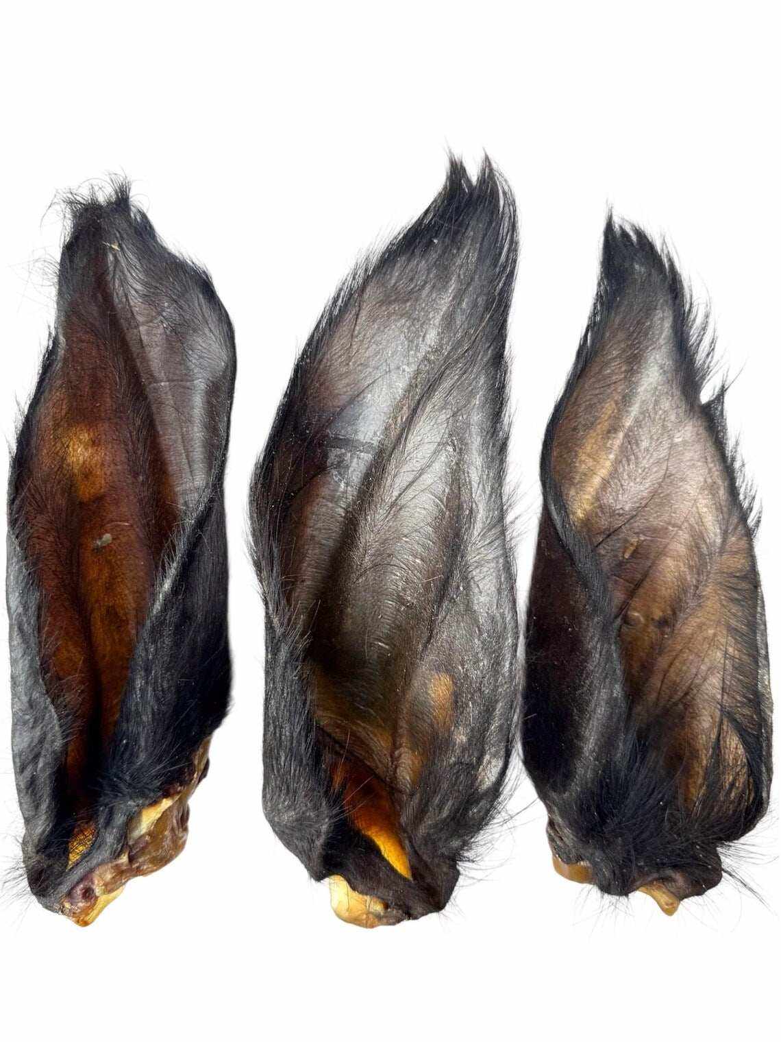 Hairy Buffalo Ears with Meat, three dark brown dried buffalo ears with coarse black hair and visible meat
