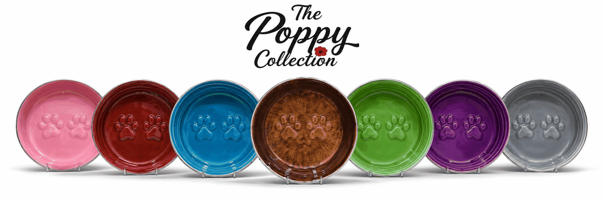 The Poppy Collection dog bowl in glossy violet with a stainless steel rim and raised paw-print details